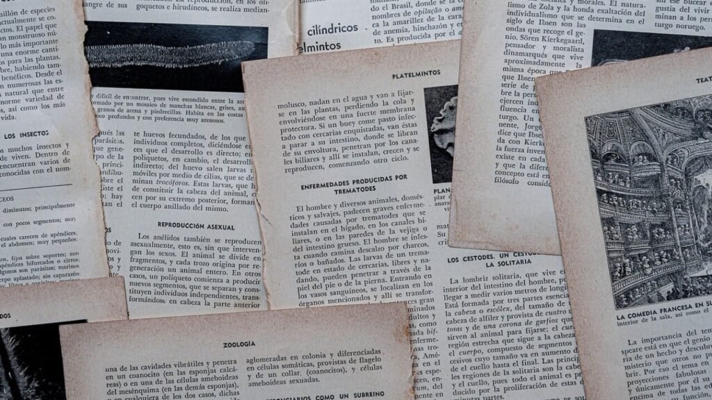 Wniosek o odstąpienie od zatrzymania prawa jazdy – PDF bezpłatny do pobrania